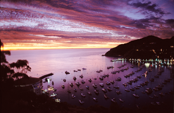 Purple Sunrise Over Avalon Harbor