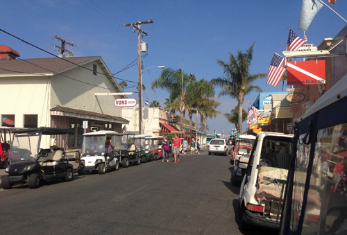 2014 Photo of a Street in Avalon