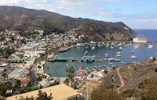 Avalon Town and Harbor