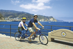 Bicycle Built for Two on Catalina