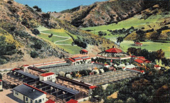 Catalina Bird Park Historic Postcard
