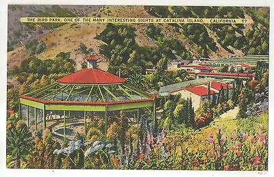 Catalina Island Bird Park Historic Postcard