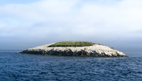 Bird Rock Off Catalina Island