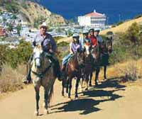 Horseback Riding on Catalina Island