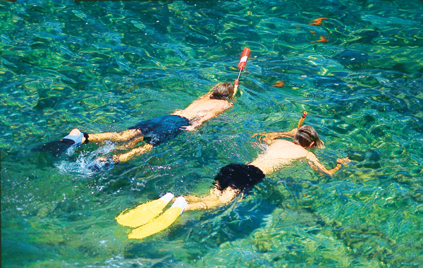 Two Boys Snorkeling Off Catalina Island