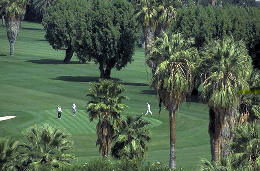 Golfing in Palm Springs