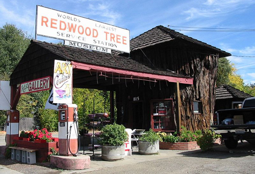 Ukiah's Redwood Tree Gas Station